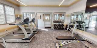 Insignia Apartments Gallery 27