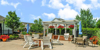 Albany Glen Gallery 23