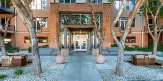 1326 N Central Avenue Gallery 2