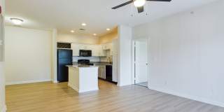 Legacy Park Gallery 19