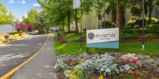 Avana Hamptons Gallery 21