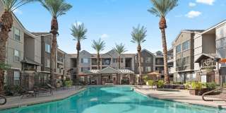 Citi on Camelback Citi on Camelback Gallery 1