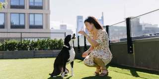 Broadridge Gallery 39