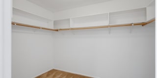 3321 Basque Street Gallery 31
