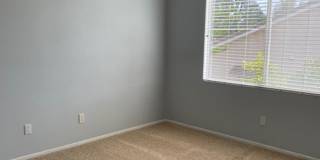 Paloma Del Sol Home Gallery 9