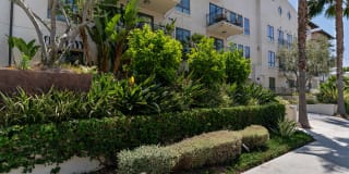 Candara at Hancock Park Gallery 30