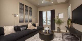 Alira Gallery 28