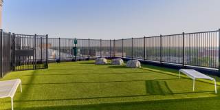 The Langdon Gallery 9