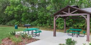 Sussex Downs Gallery 83