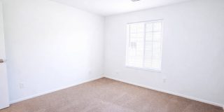 The Lodge Apartments Gallery 11