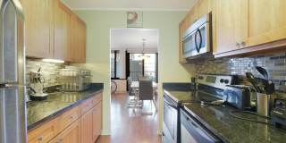 1555 N Sandburg Terrace Gallery 7