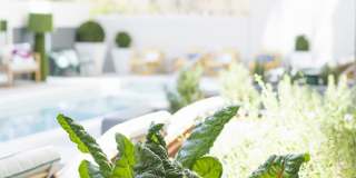 The Registry on the Park Gallery 54