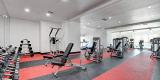 Evoq Apartment Homes Gallery 6