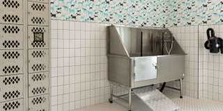 The Commons at Rivertown The Commons at Rivertown Gallery 27