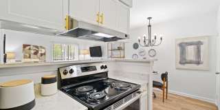 Arlington Heights Gallery 26