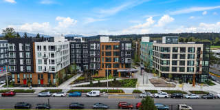 The Piper Gallery 37