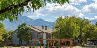 Springs of Country Woods Gallery 15