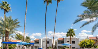 Avia McCormick Ranch Gallery 23