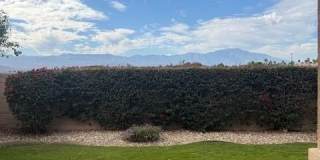 41085 Calle Pampas Gallery 21
