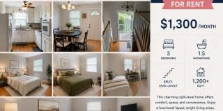 Move in special Gallery 1
