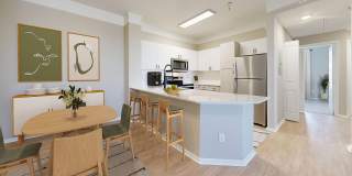 Bristol Village Apartments Gallery 6