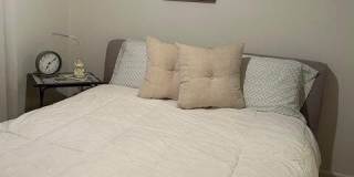 825 Sky Pine Way Gallery 13