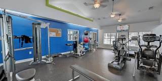 St. Johns Forest Gallery 13