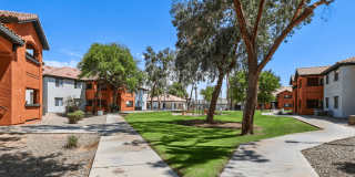 Terracina Gallery 16