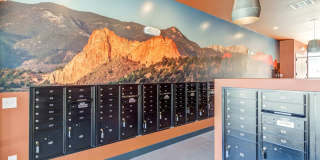 Jasper at Victory Ridge Gallery 12