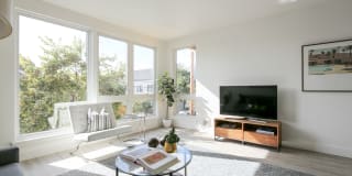 Hollis Oak Gallery 2