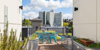 Helene Apartments Gallery 48