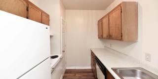 Noah's Landing Gallery 9