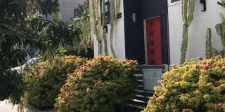 741 Wilcox Avenue 741 Wilcox Avenue Gallery 5