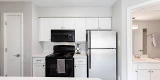 Steeplechase Gallery 1