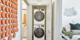 The Anderson Gallery 22