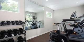 The Woods Gallery 13