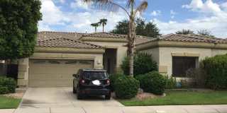 674 W Desert Broom Drive 674 W Desert Broom Drive Gallery 1