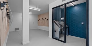 Riverline Gallery 36