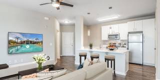 Art Avenue Gallery 16