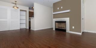 Autumn Wood Gallery 10