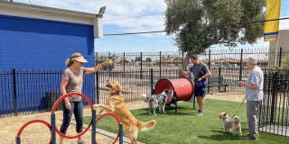 The Glenn Apartments Gallery 9