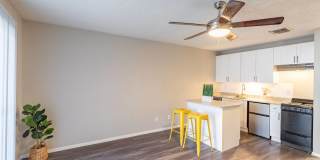 The Iris The Iris Gallery 6