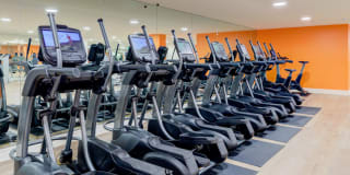 Ferrante Ferrante Gallery 82