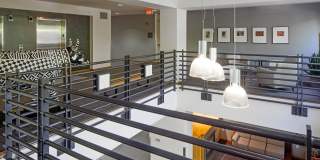 Belmont Dairy Gallery 11