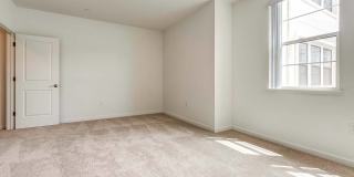Ageno Gallery 10
