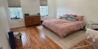 2005 N MASCHER Street Gallery 19