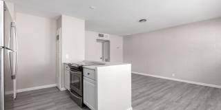 405 S PRIEST Drive Gallery 23