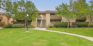 Citrus Place Gallery 61