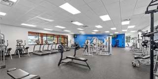 10960 Cherry Laurel Drive Gallery 29