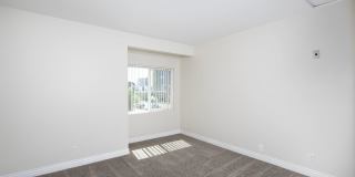 Golden Pacific Gallery 9